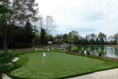 Dual K9Grass and GolfGreens Installation