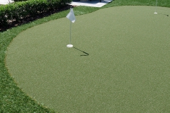 Tampa Bay Residential Backyard Paradise With GolfGreens Putting Green