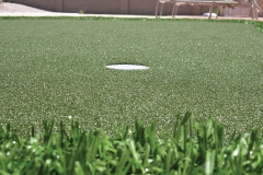 Residential GolfGreens putting green