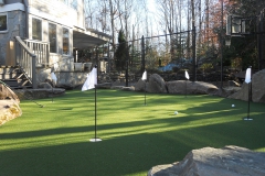 GolfGreens Residential Putting Green