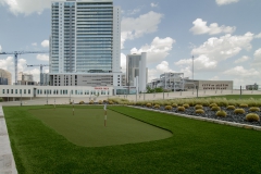 Putting Green In Downtown Austin, TX Completed by ForeverLawn Austin