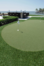 Tampa Bay Residential Backyard Paradise With GolfGreens Putting Green